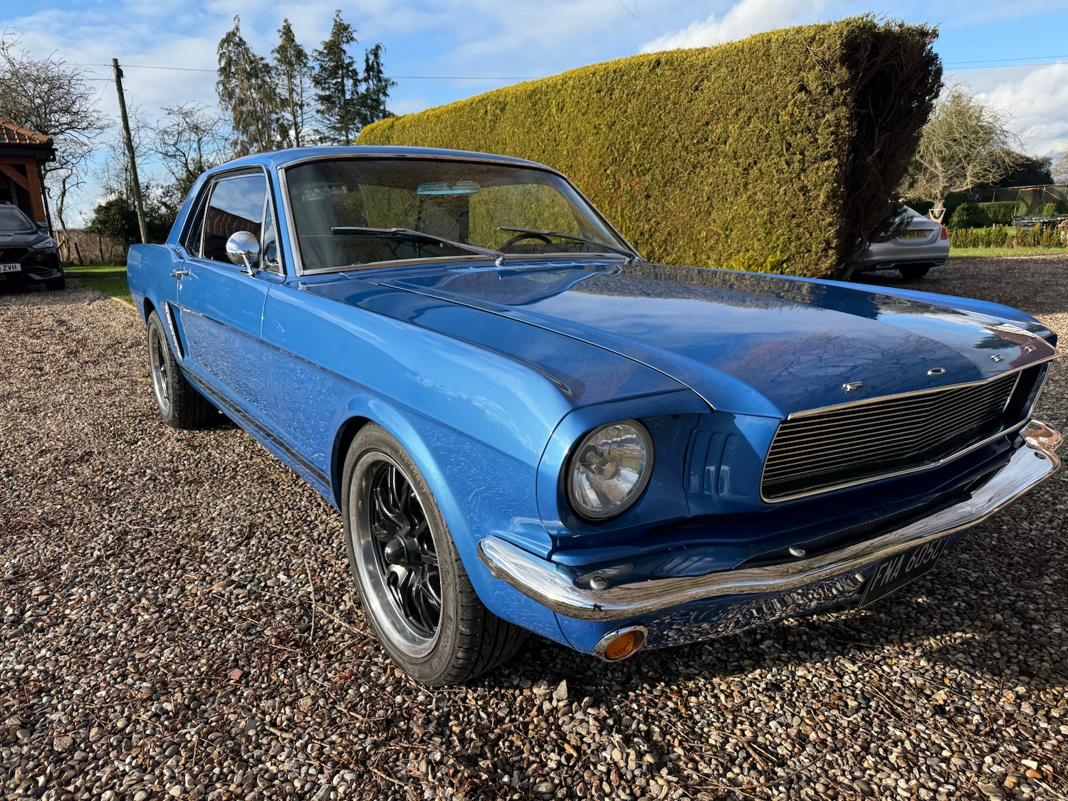 Used Ford Mustang 2020 for sale - 77241937: Photo 45