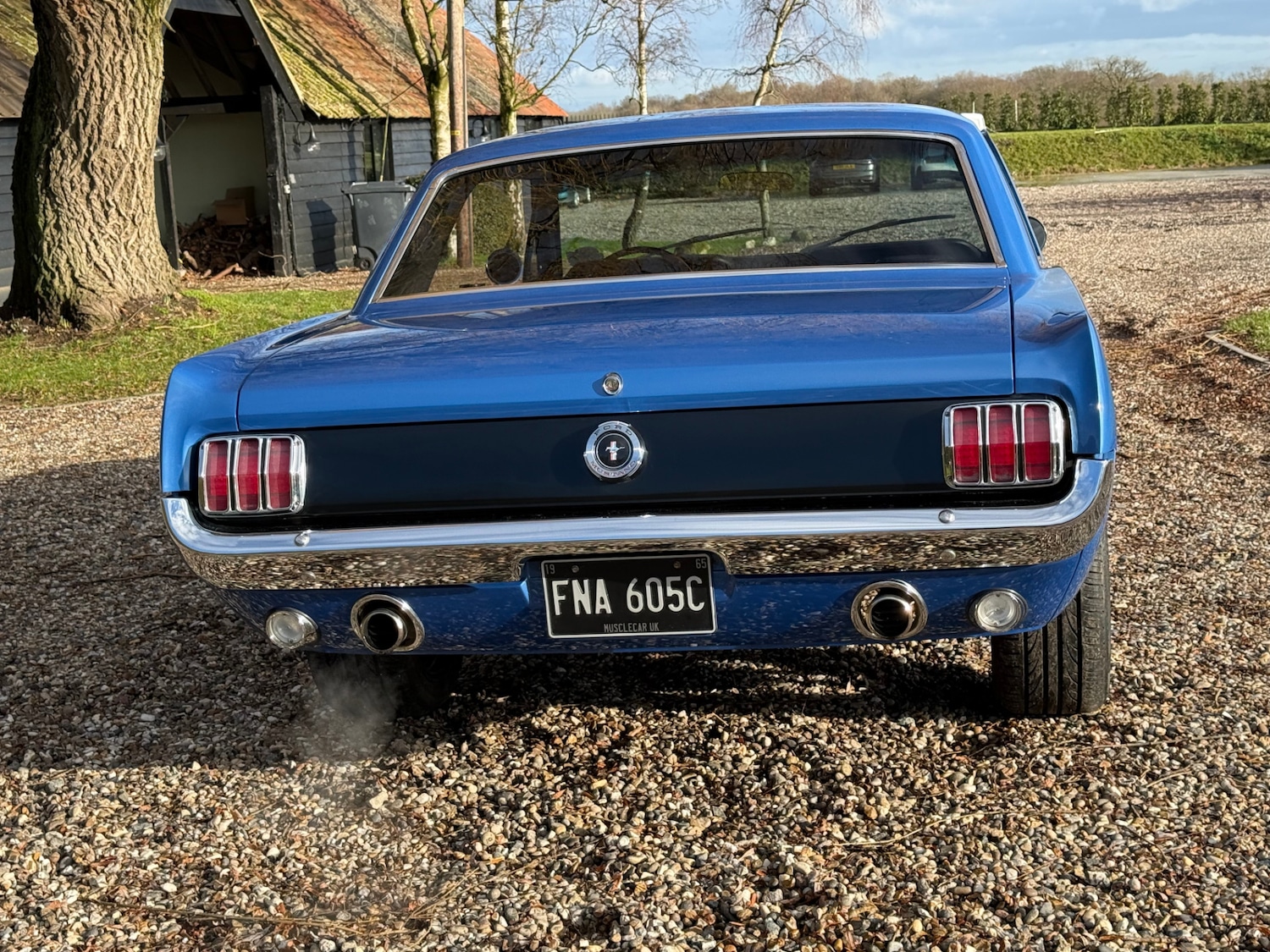 Used Ford Mustang 2020 for sale - 77241937: Photo 52