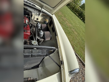 Used MG MGB 1965 for sale - 75763172: Photo