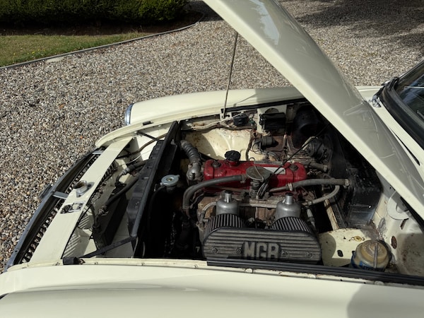 Used MG MGB 1965 for sale - 75763172: Photo 4