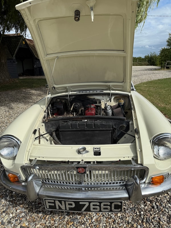 Used MG MGB 1965 for sale - 75763172: Photo 6