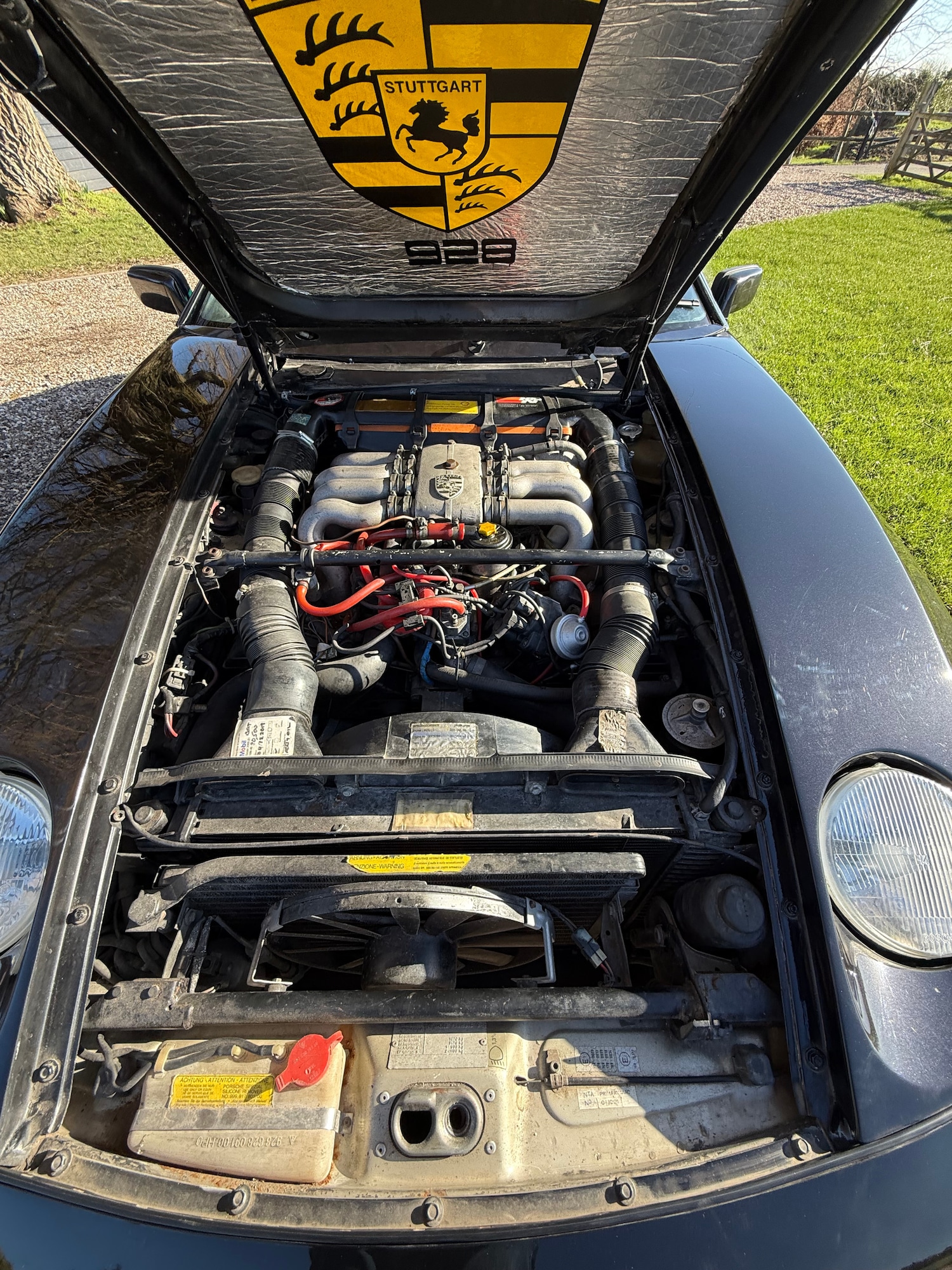 Used Porsche 928 1982 for sale - 77562763: Photo 8