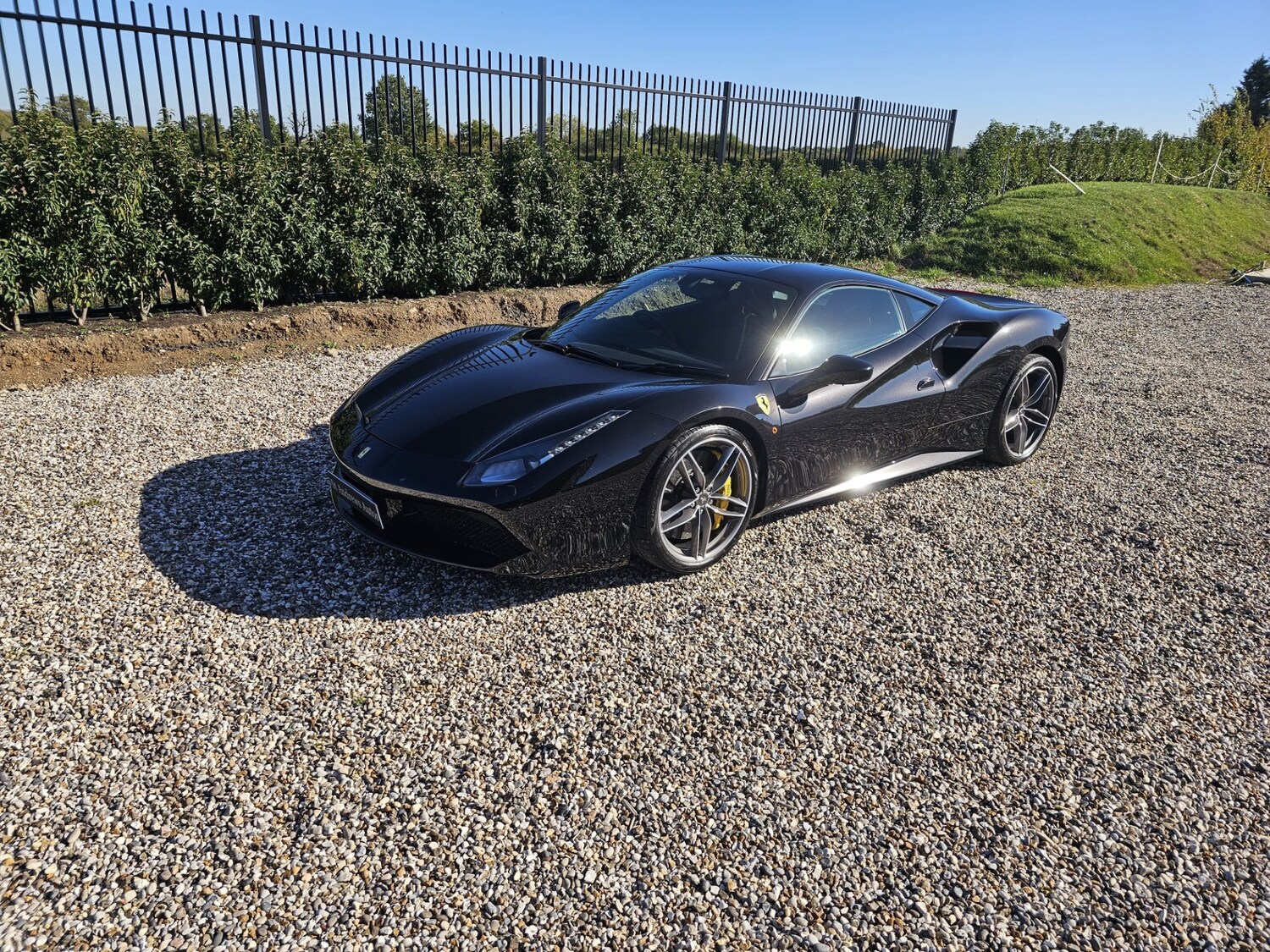 Used Ferrari 488 2017 for sale - 76231387: Photo 25
