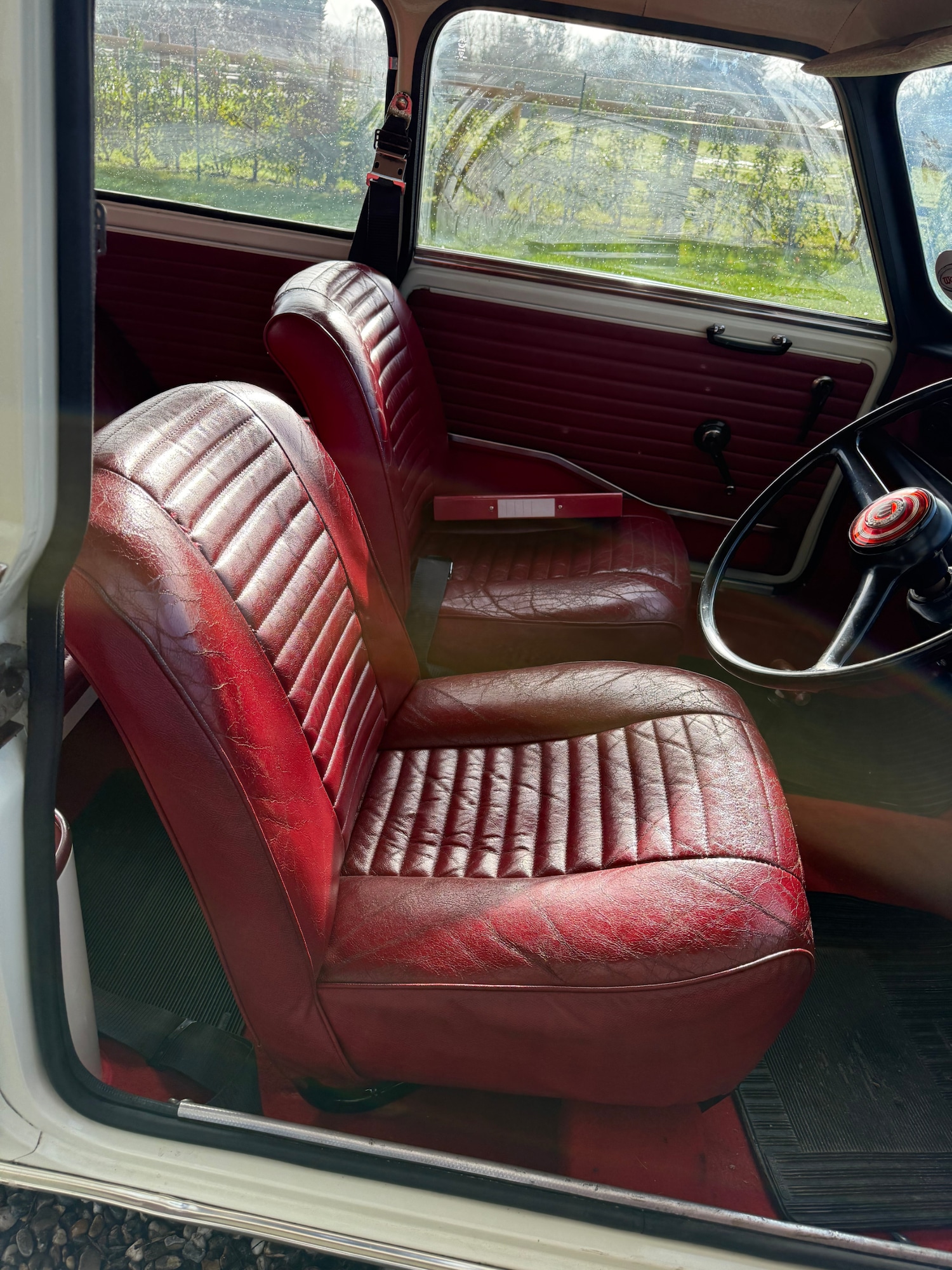 Used Wolseley Hornet 1968 for sale - 77378684: Photo 15