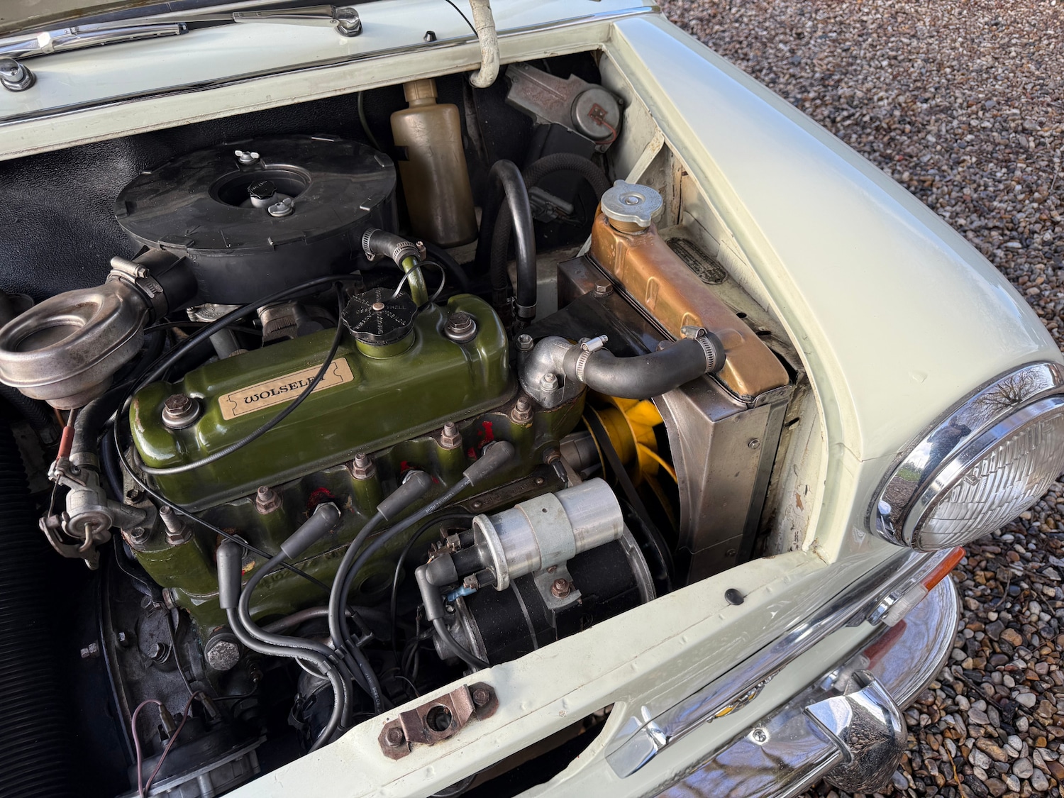 Used Wolseley Hornet 1968 for sale - 77378684: Photo 29