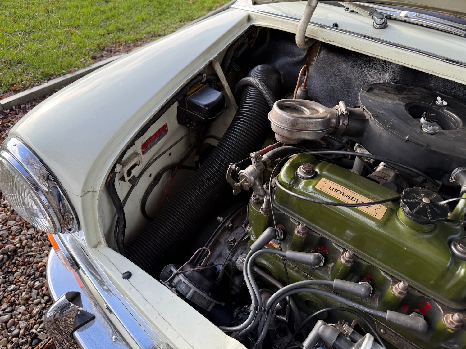 Used Wolseley Hornet 1968 for sale - 77378684: Photo 30