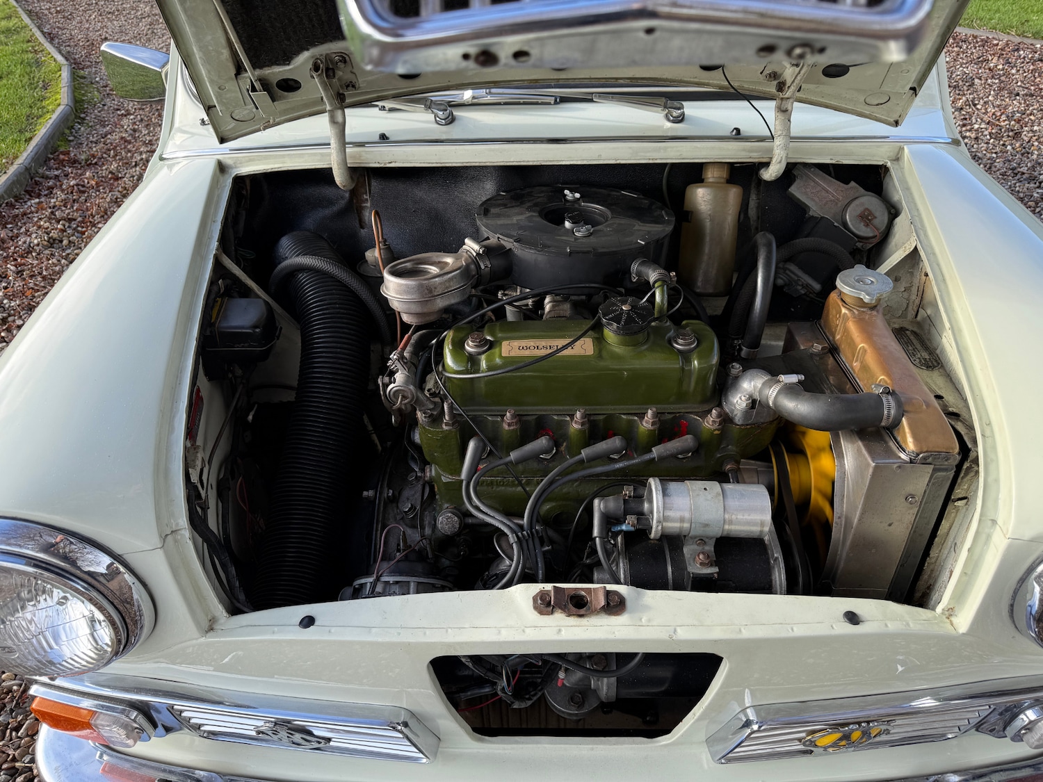 Used Wolseley Hornet 1968 for sale - 77378684: Photo 31