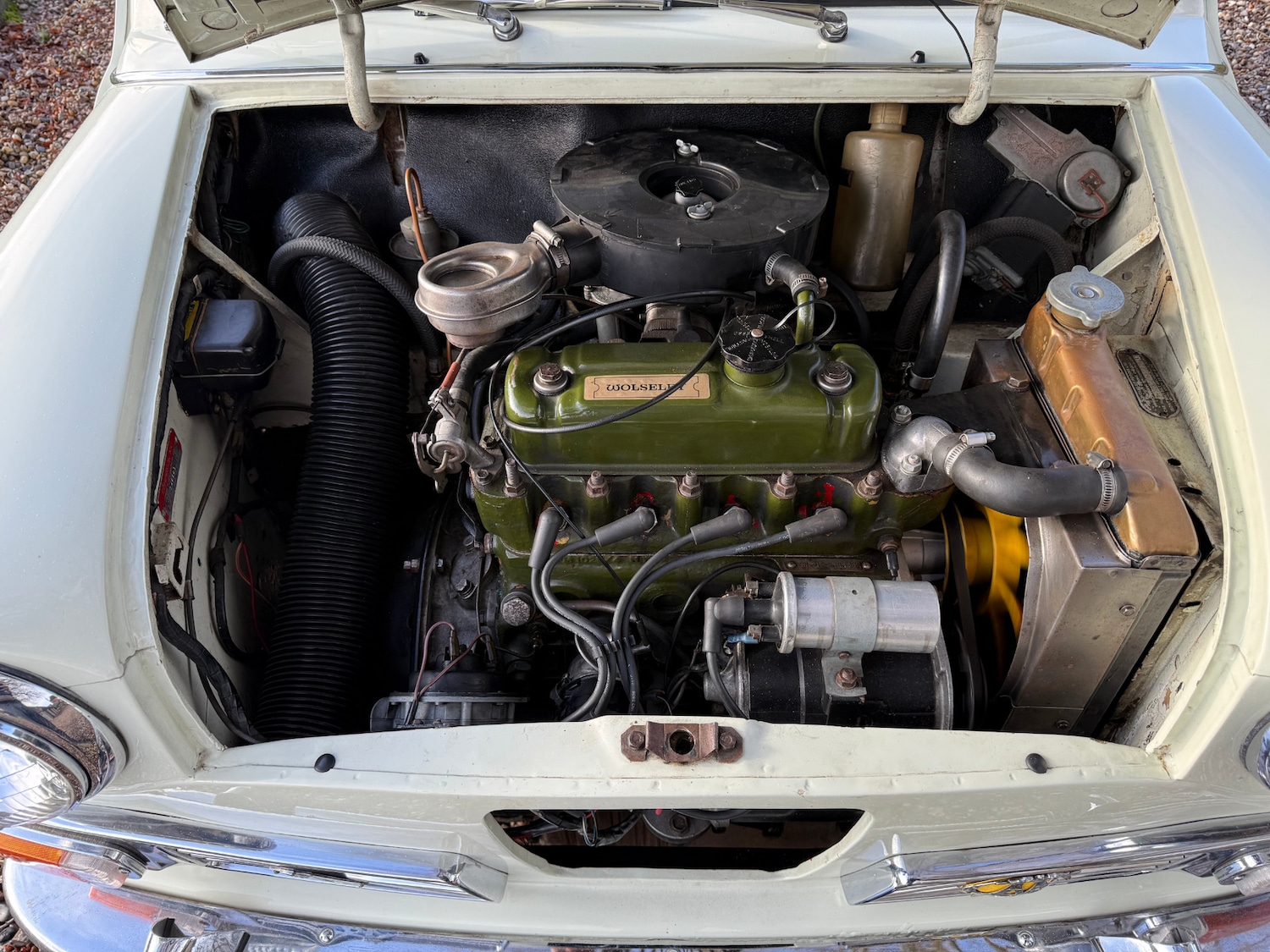 Used Wolseley Hornet 1968 for sale - 77378684: Photo 6