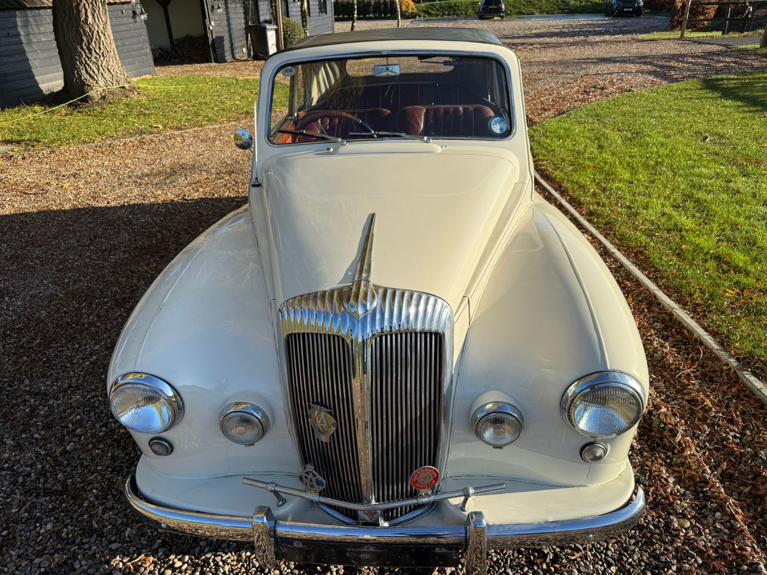 Used Daimler Conquest 1956 for sale - 76791811: Photo 11