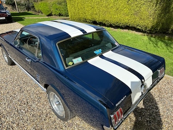 Used Ford Mustang 1966 for sale - 75620071: Photo