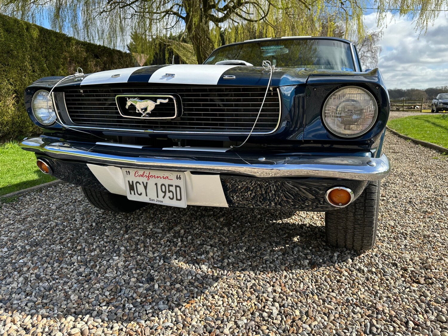 Vehicle 45