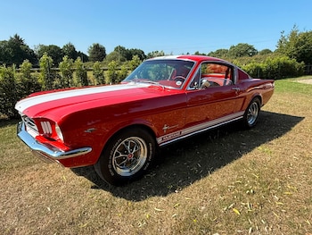 Used Ford Mustang 1965 for sale - 79184399: Photo