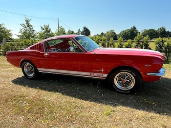 Used Ford Mustang 1965 for sale - 79184399: Photo