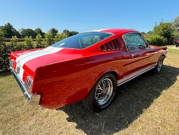 Used Ford Mustang 1965 for sale - 79184399: Photo