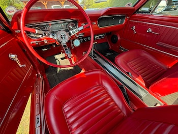 Used Ford Mustang 1965 for sale - 79184399: Photo