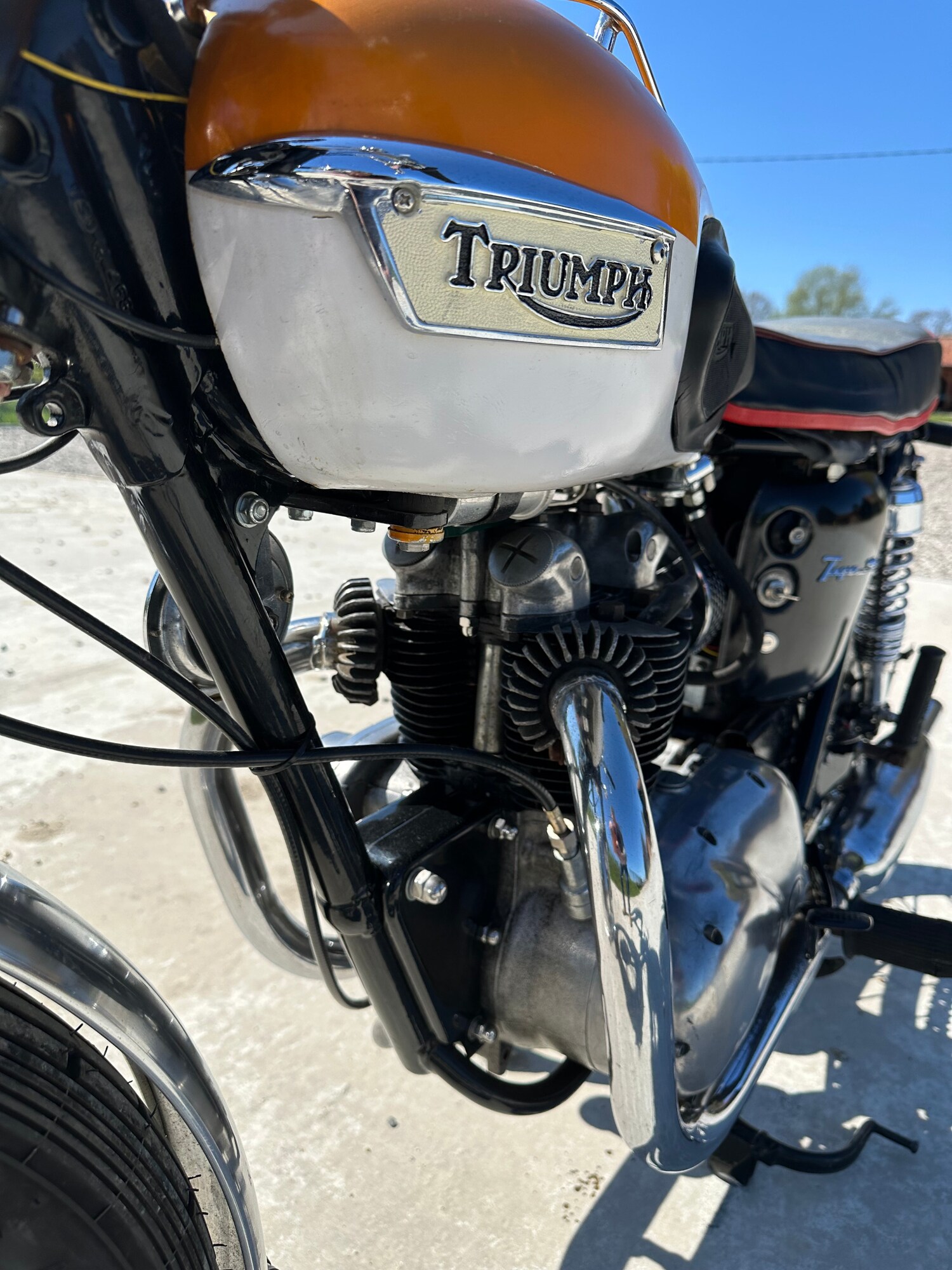 Triumph TIGER