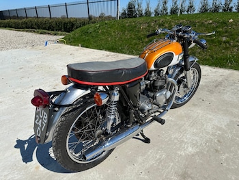 Used Triumph TIGER 1966 for sale - bike-74287668: Photo