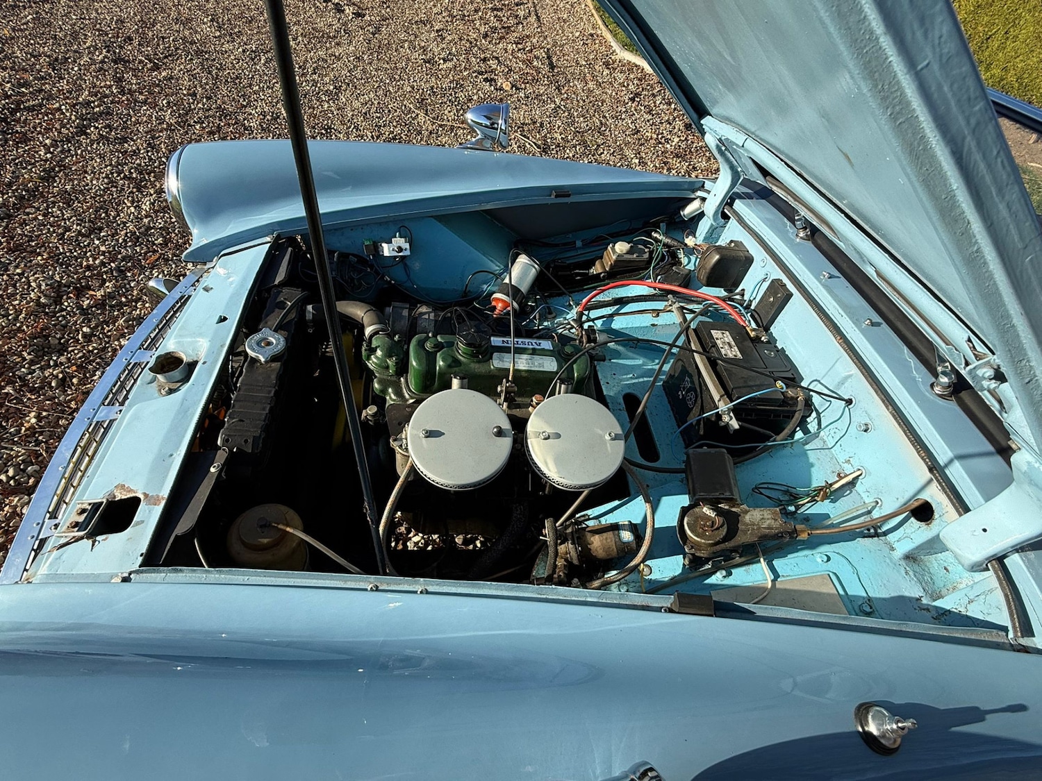 Used Austin Healey 1961 for sale - 77083569: Photo 19