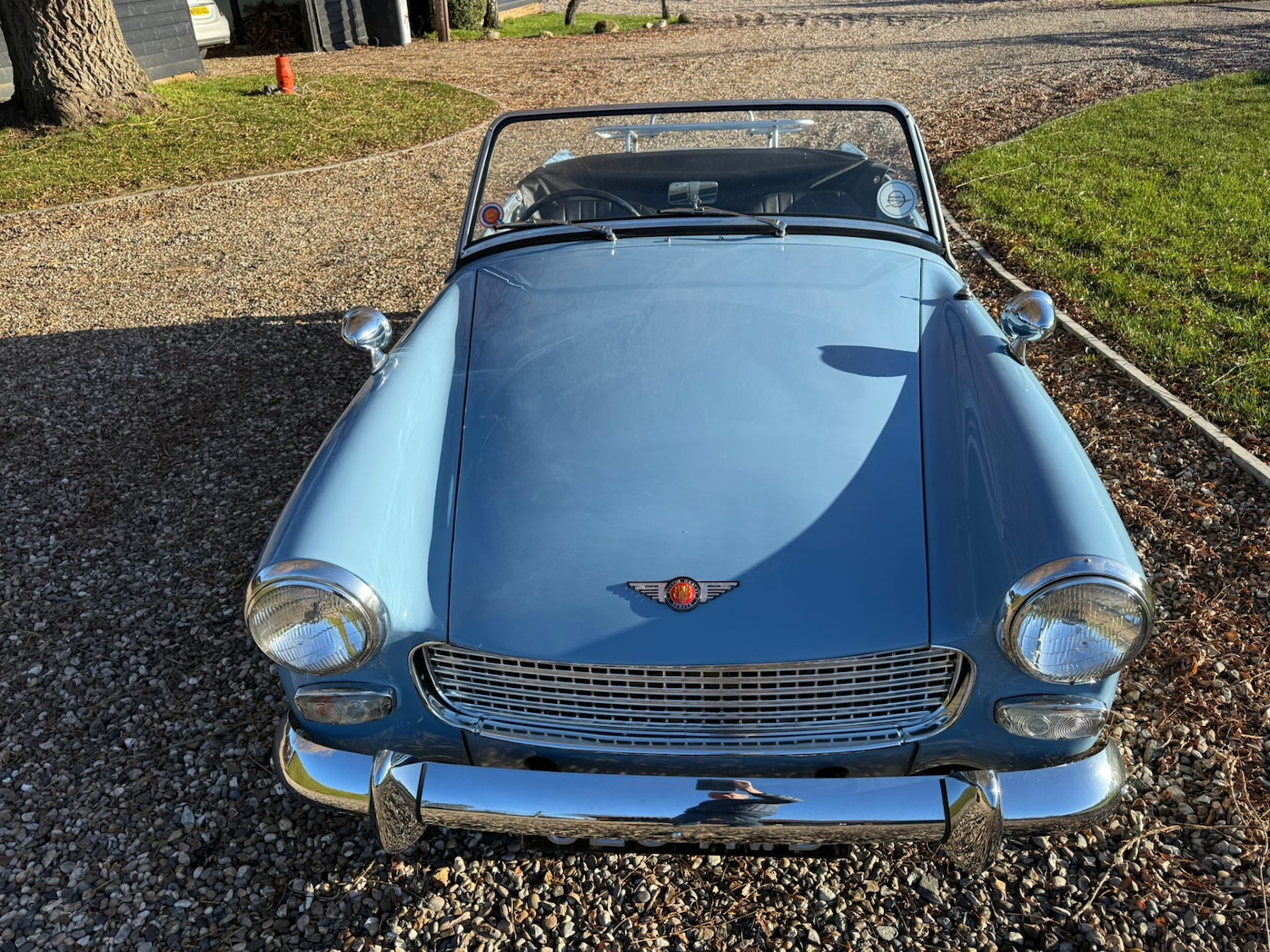 Used Austin Healey 1961 for sale - 77083569: Photo 21