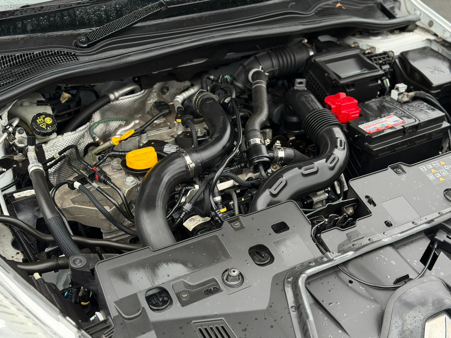 Used Renault Clio 2016 for sale - 76919247: Photo 19