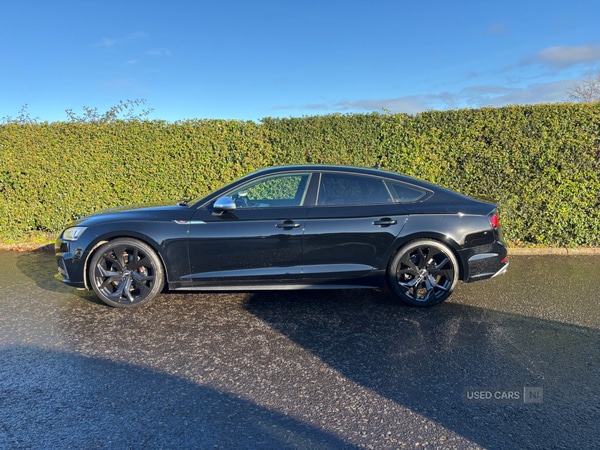 Used Audi A5 2017 for sale - 76966052: Photo 9
