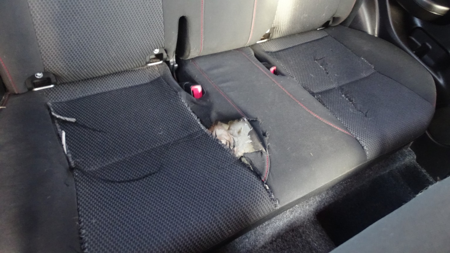 Used Suzuki Swift 2015 for sale - 77385183: Photo 24