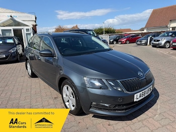Used Skoda Octavia 2019 for sale - 79304027: Photo