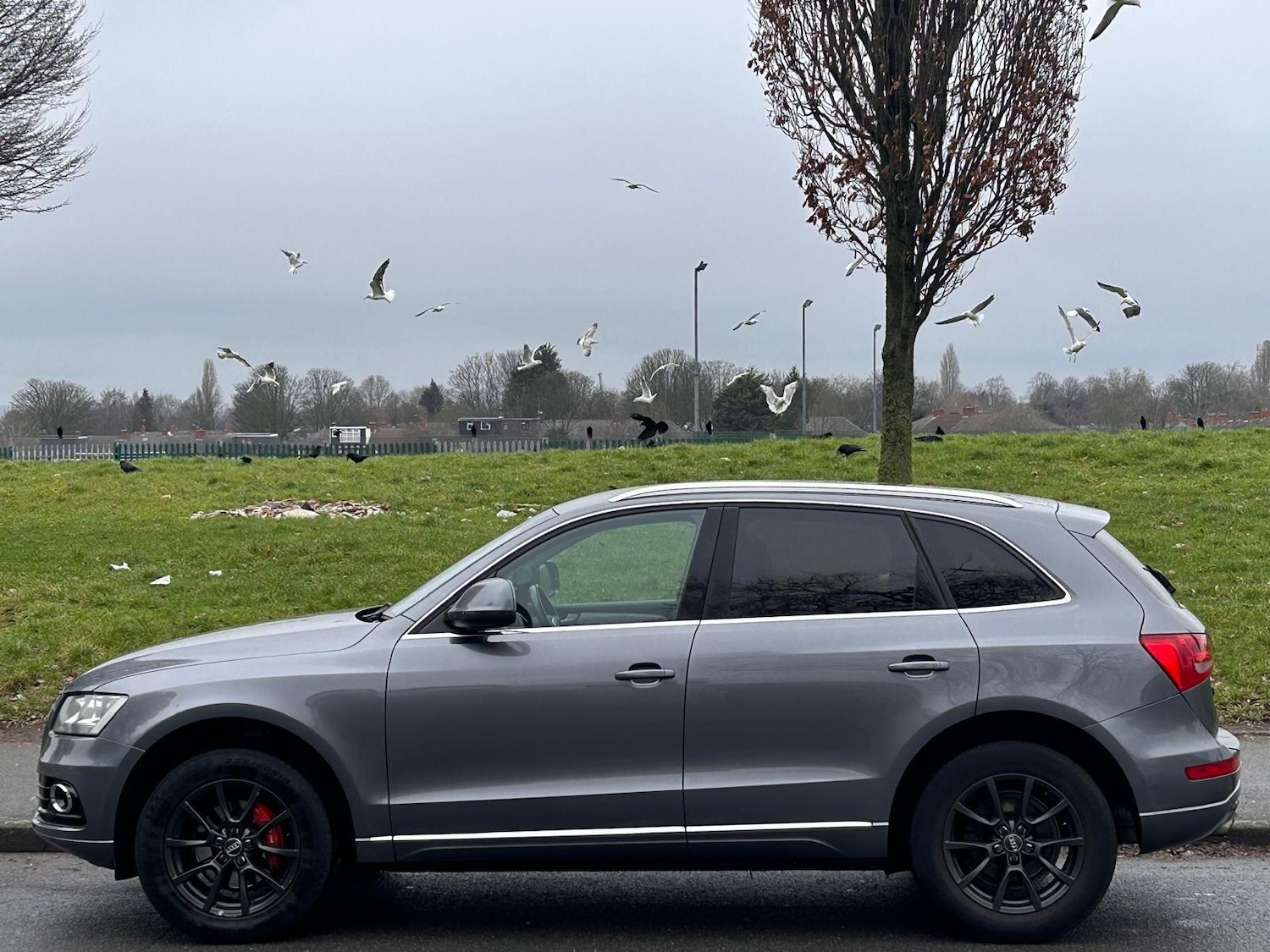 Used Audi Q5 2013 for sale - 77395948: Photo 5
