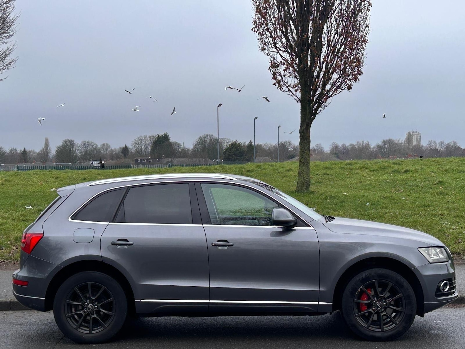 Used Audi Q5 2013 for sale - 77395948: Photo 6