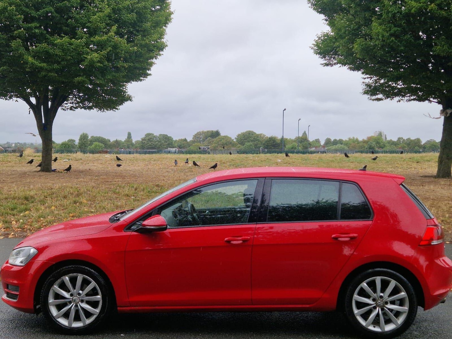 Used Volkswagen Golf 2013 for sale - 77238314: Photo 4