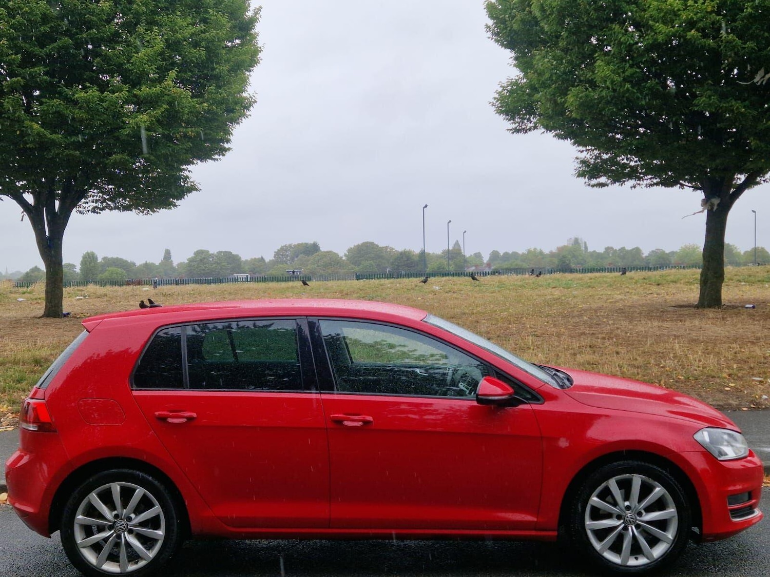 Used Volkswagen Golf 2013 for sale - 77238314: Photo 5