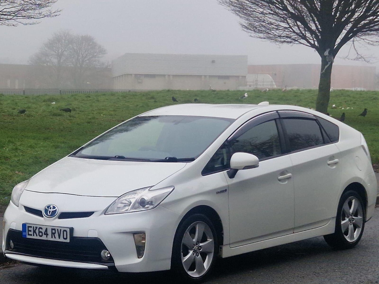 Used Toyota Prius 2014 for sale - 77202496: Photo 2