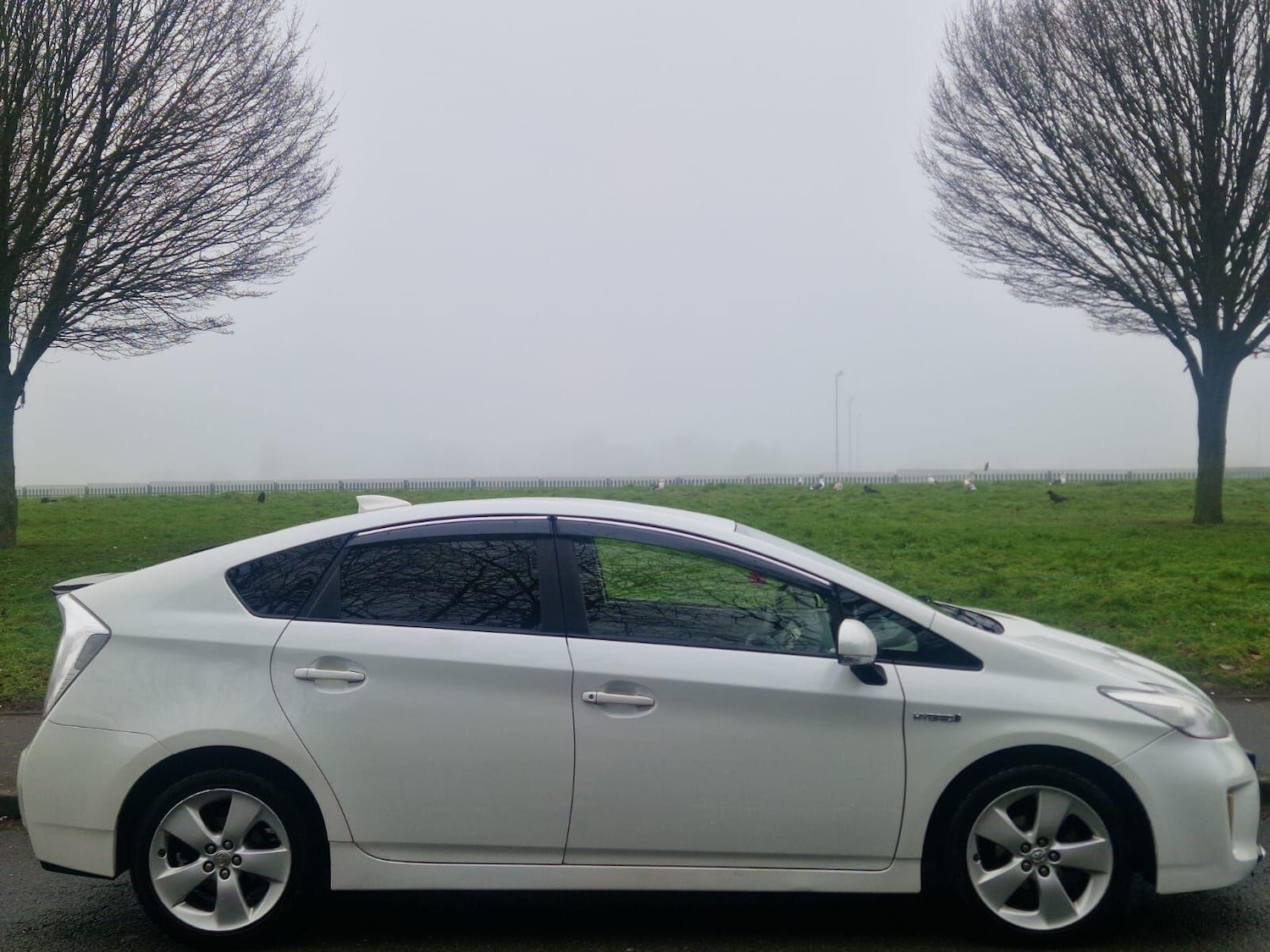 Used Toyota Prius 2014 for sale - 77202496: Photo 5