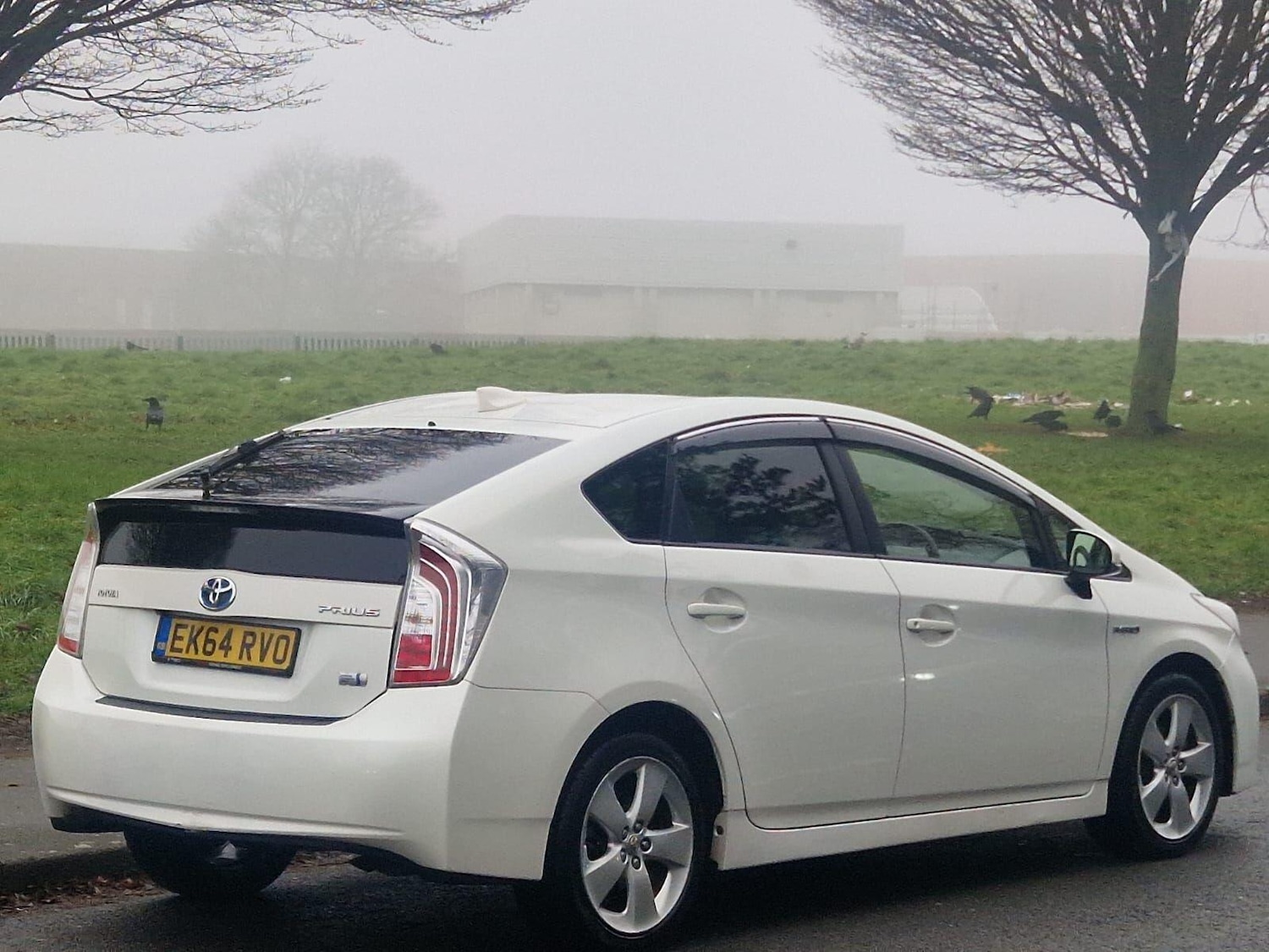 Used Toyota Prius 2014 for sale - 77202496: Photo 7
