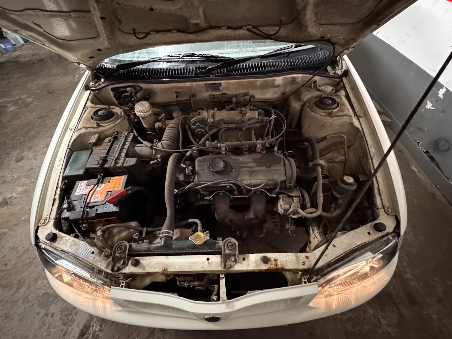 Used Proton Jumbuck 2006 for sale - 73249857: Photo 21