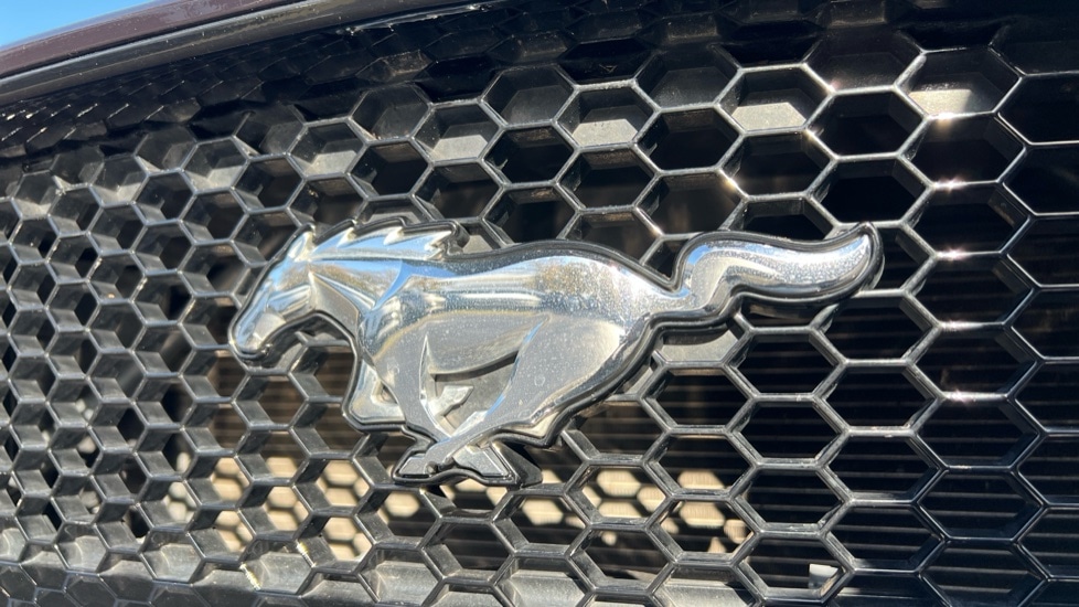 Used Ford Mustang 2022 for sale - 76528892: Photo 38