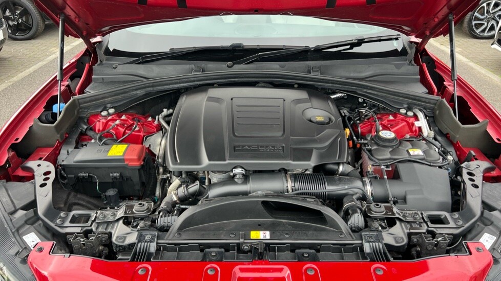 Used Jaguar F-Pace 2024 for sale - 76116765: Photo 34