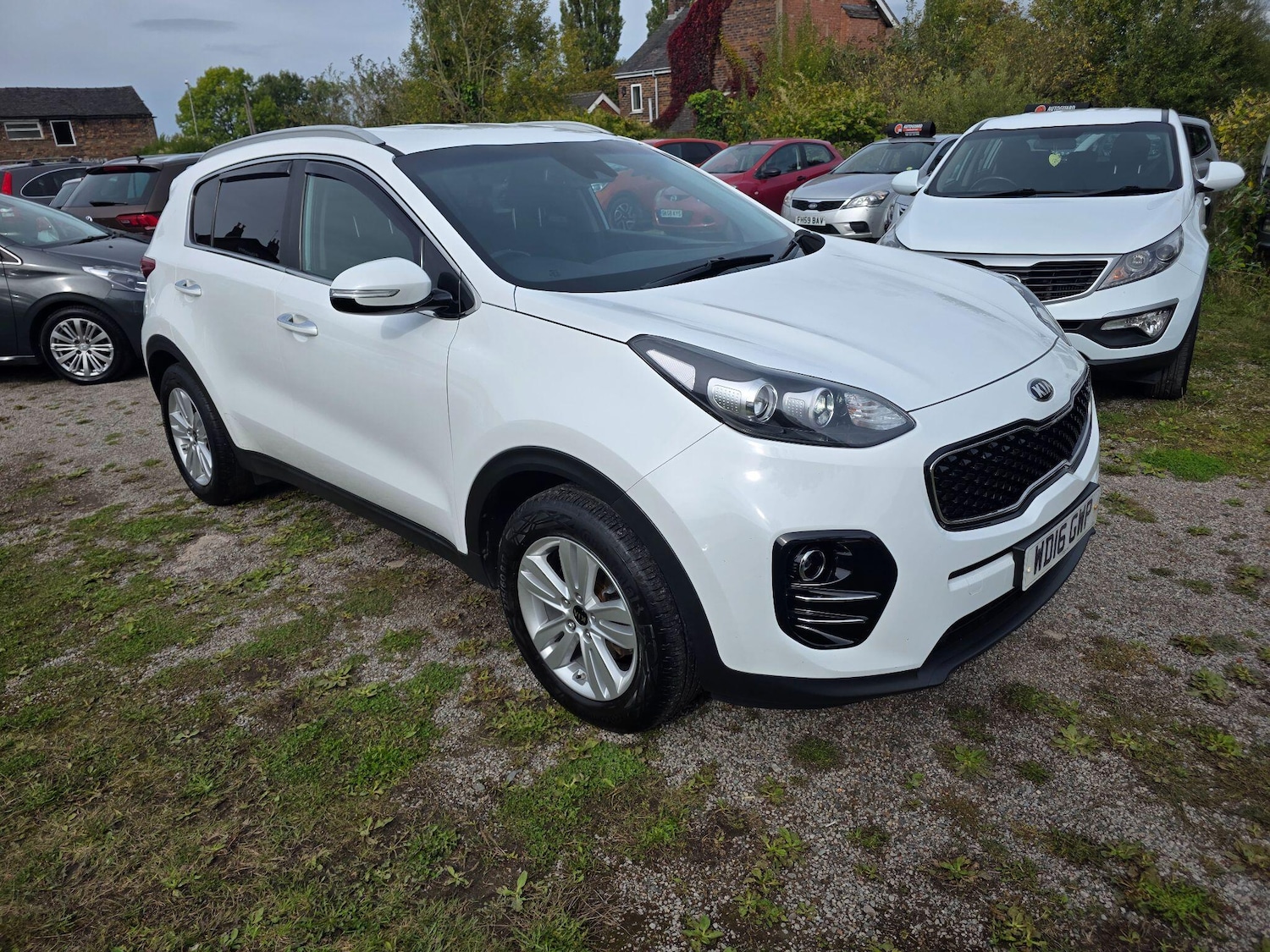 Used Kia Sportage 2016 for sale - 76072621: Photo 1
