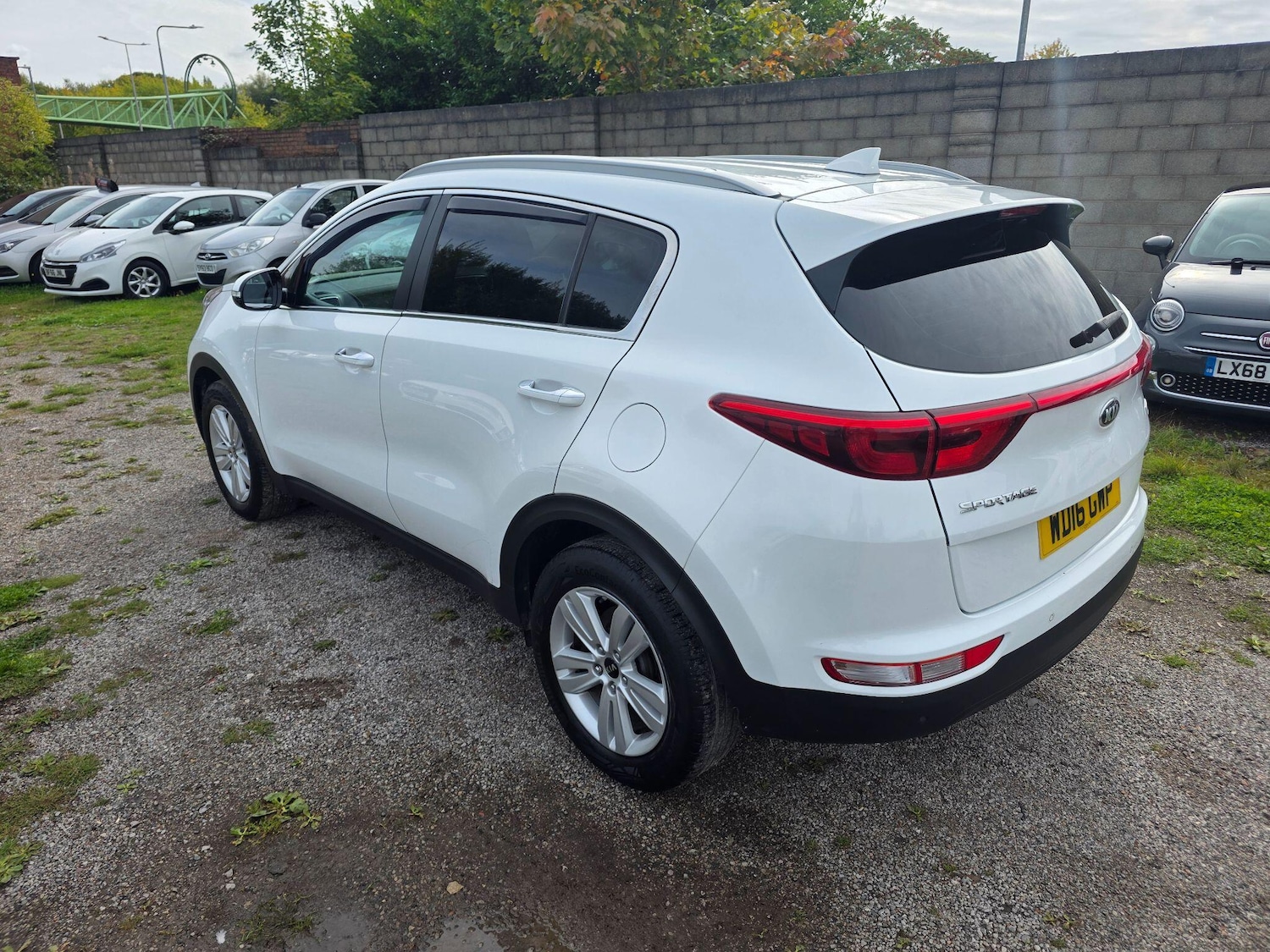 Used Kia Sportage 2016 for sale - 76072621: Photo 10