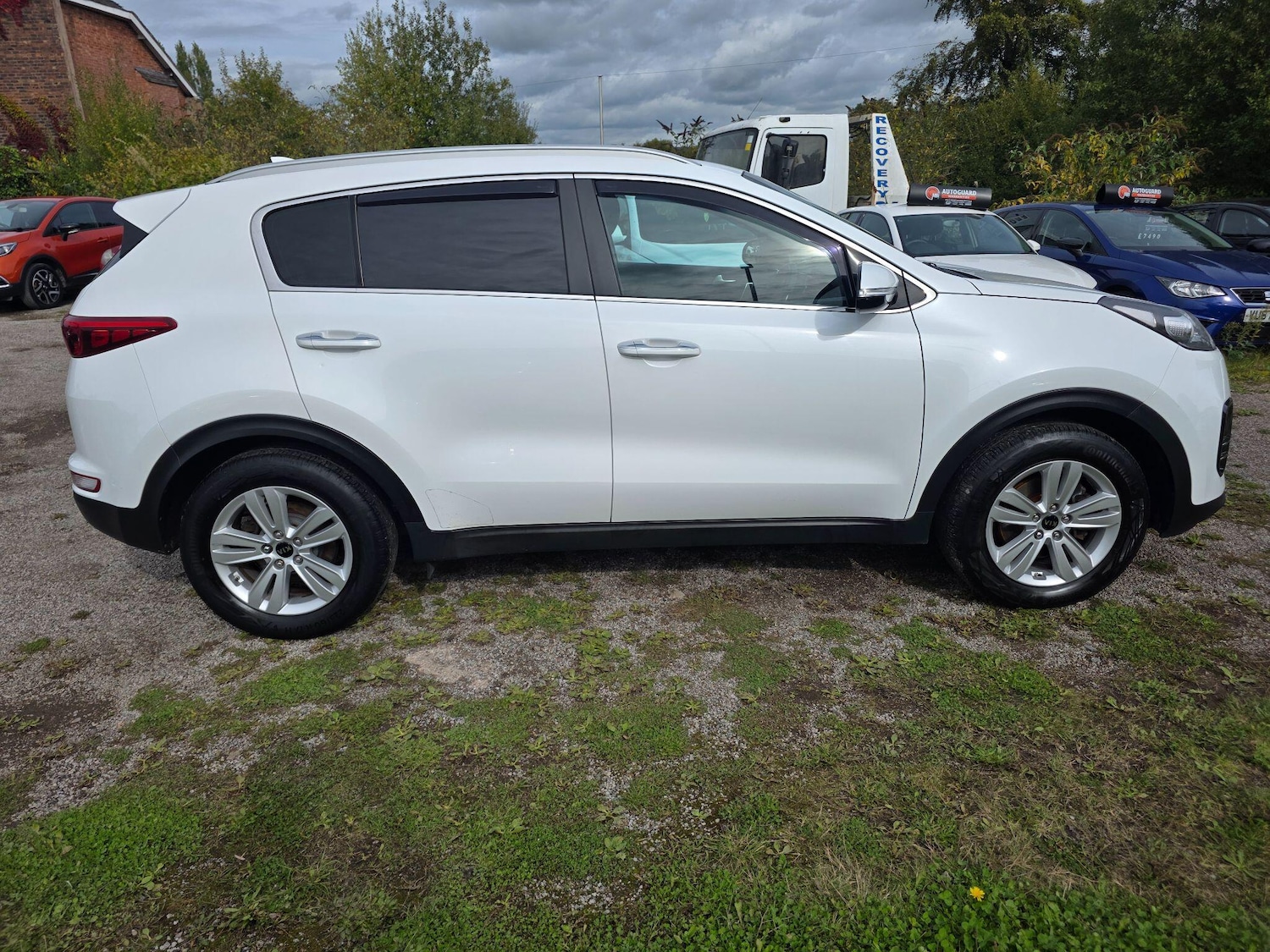 Used Kia Sportage 2016 for sale - 76072621: Photo 11