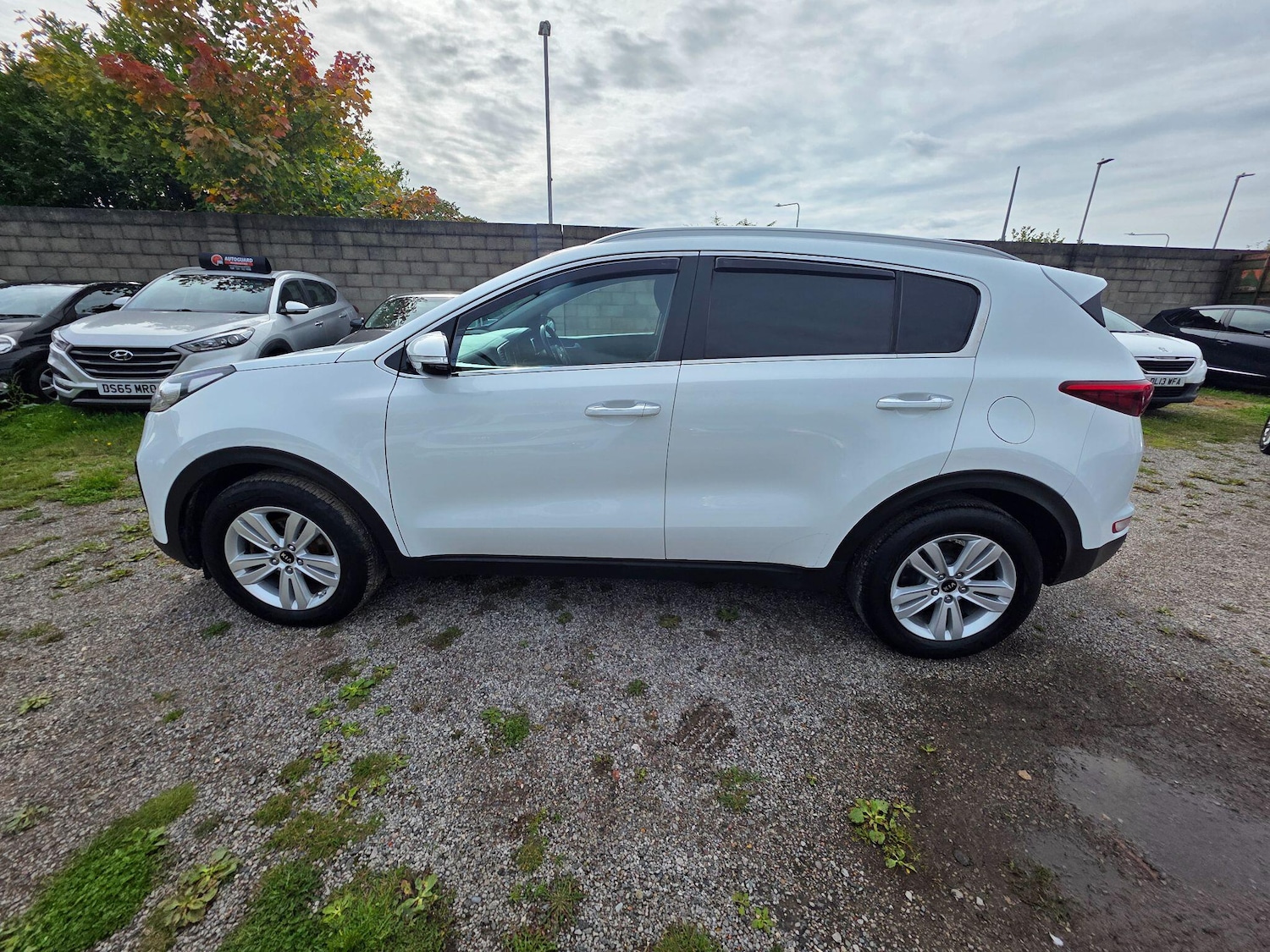 Used Kia Sportage 2016 for sale - 76072621: Photo 12