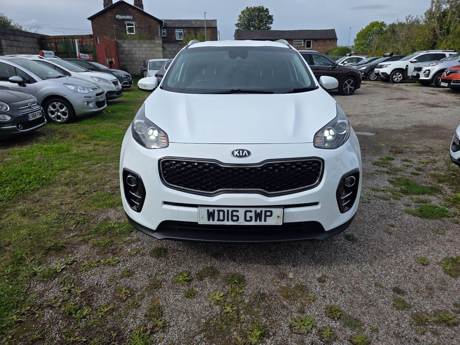 Used Kia Sportage 2016 for sale - 76072621: Photo 3