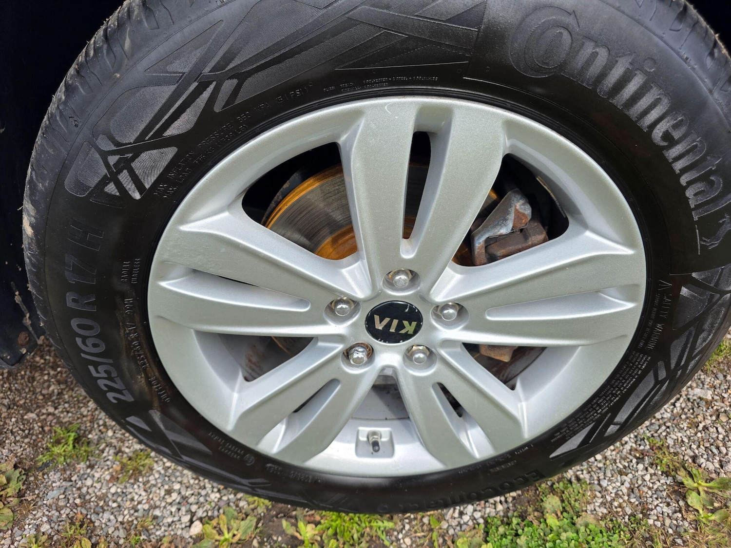 Used Kia Sportage 2016 for sale - 76072621: Photo 33