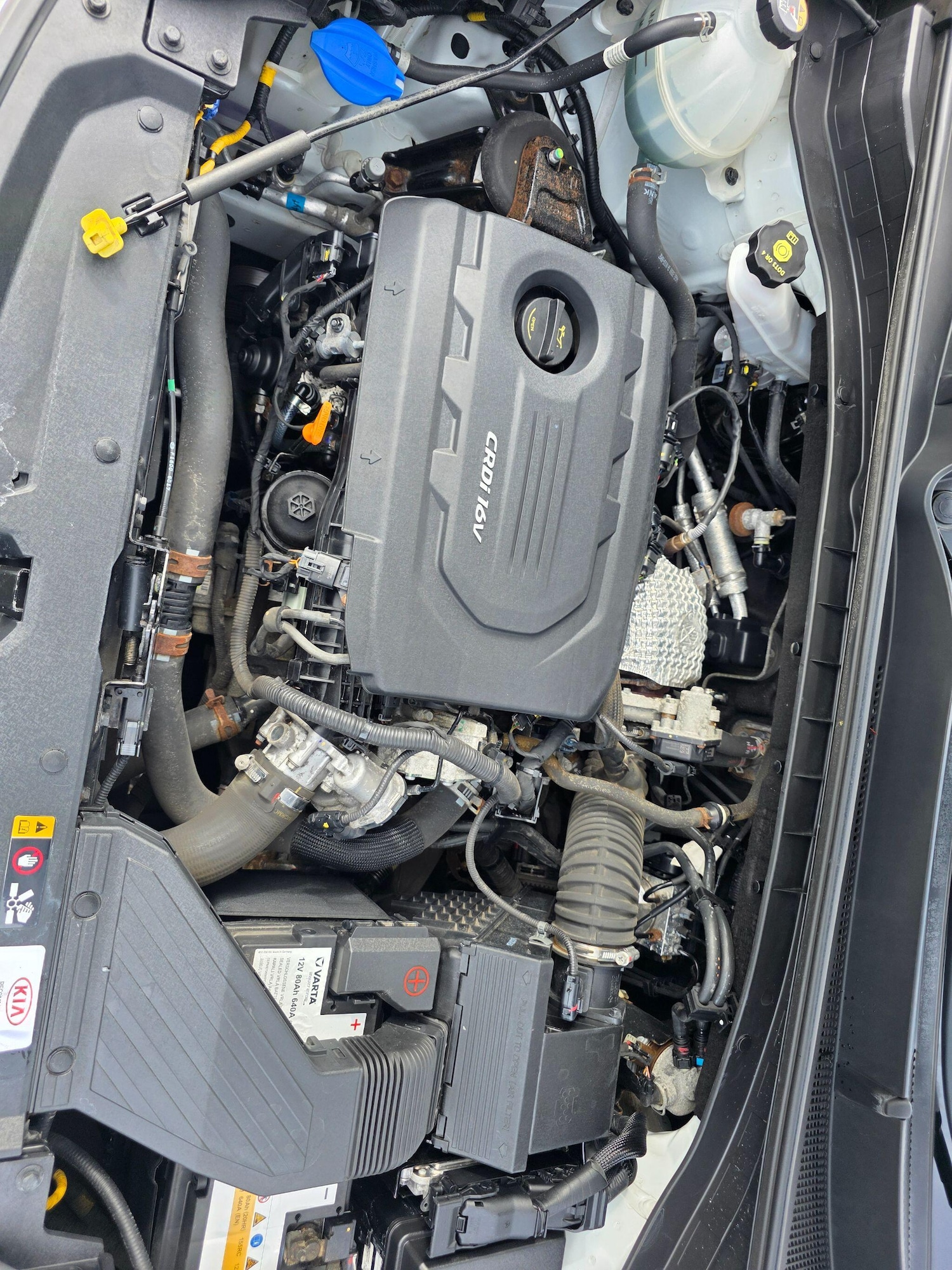 Used Kia Sportage 2016 for sale - 76072621: Photo 39