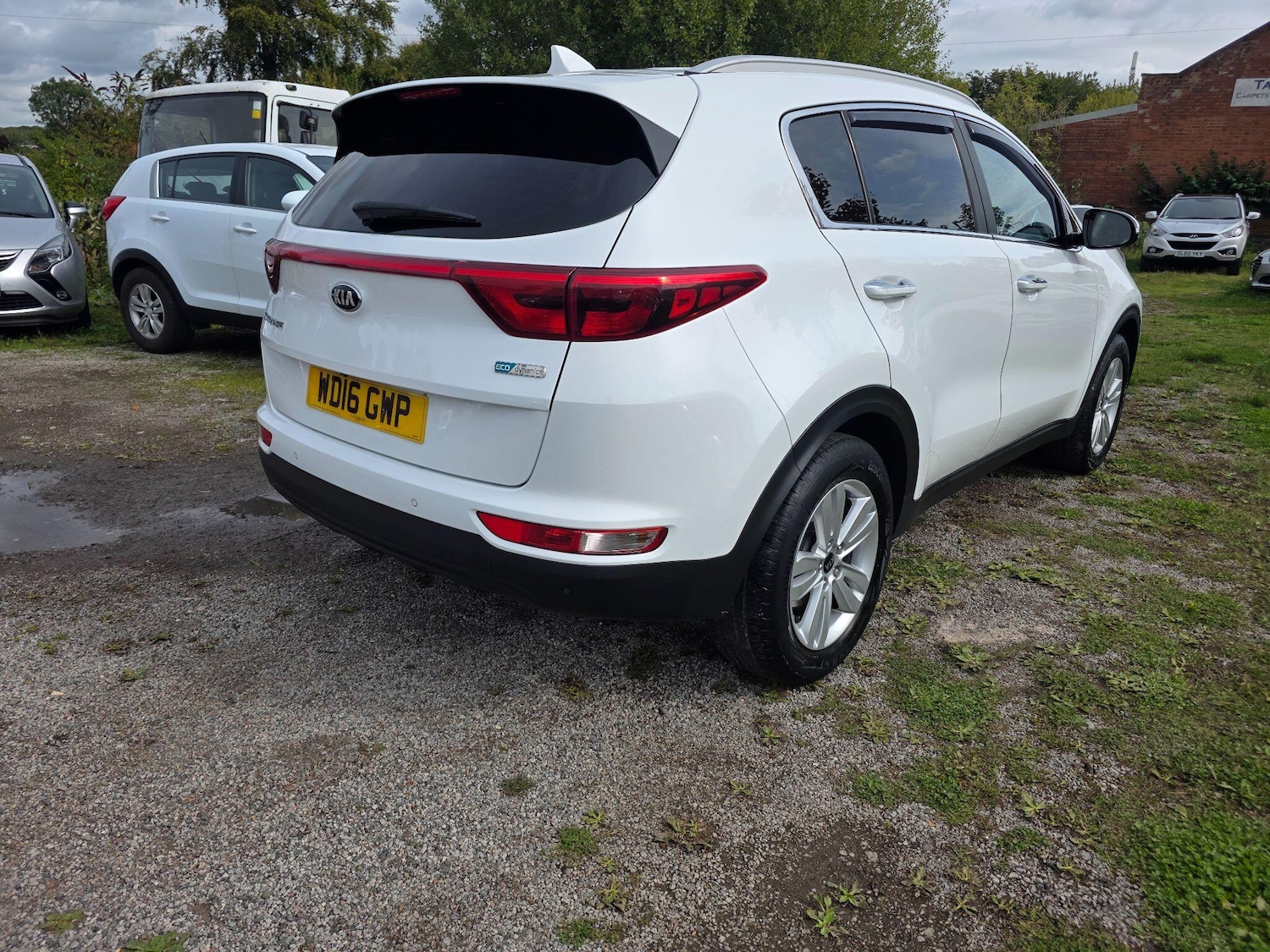 Used Kia Sportage 2016 for sale - 76072621: Photo 7