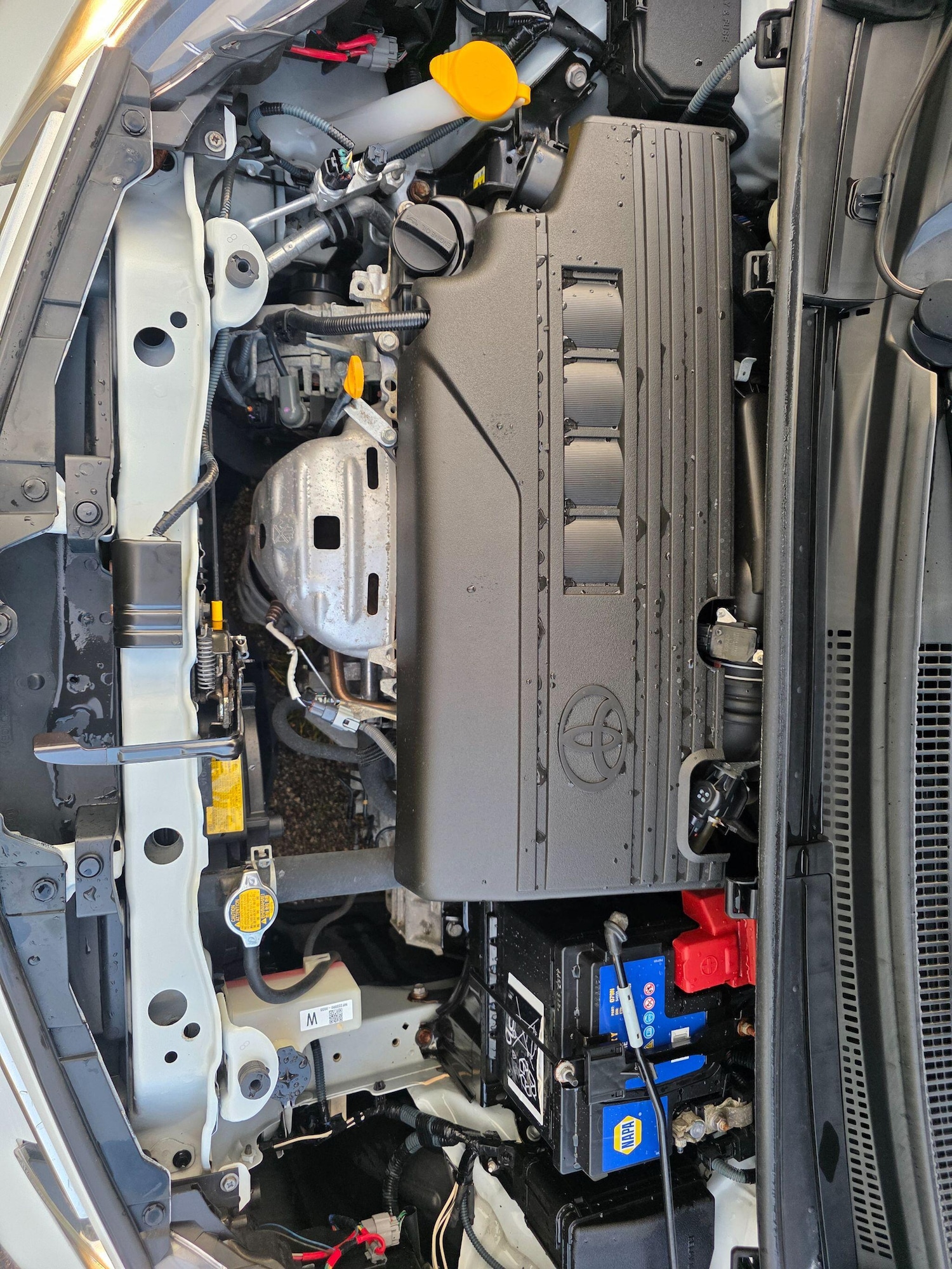 Used Toyota Yaris 2016 for sale - 76992943: Photo 36