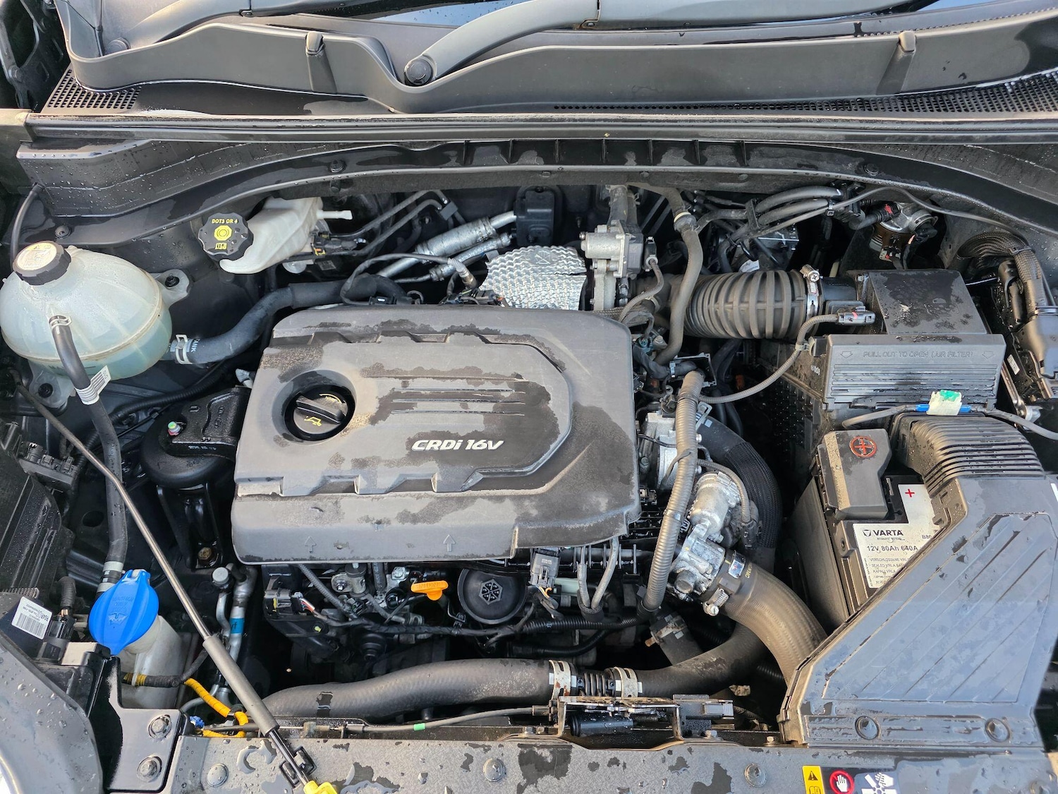 Used Kia Sportage 2017 for sale - 76644749: Photo 39