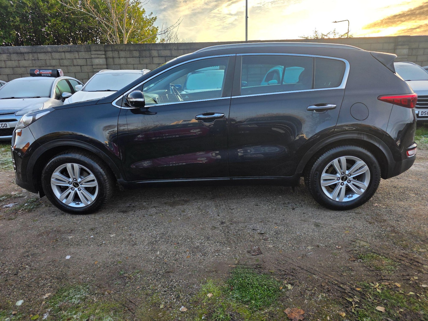 Used Kia Sportage 2017 for sale - 76644749: Photo 8