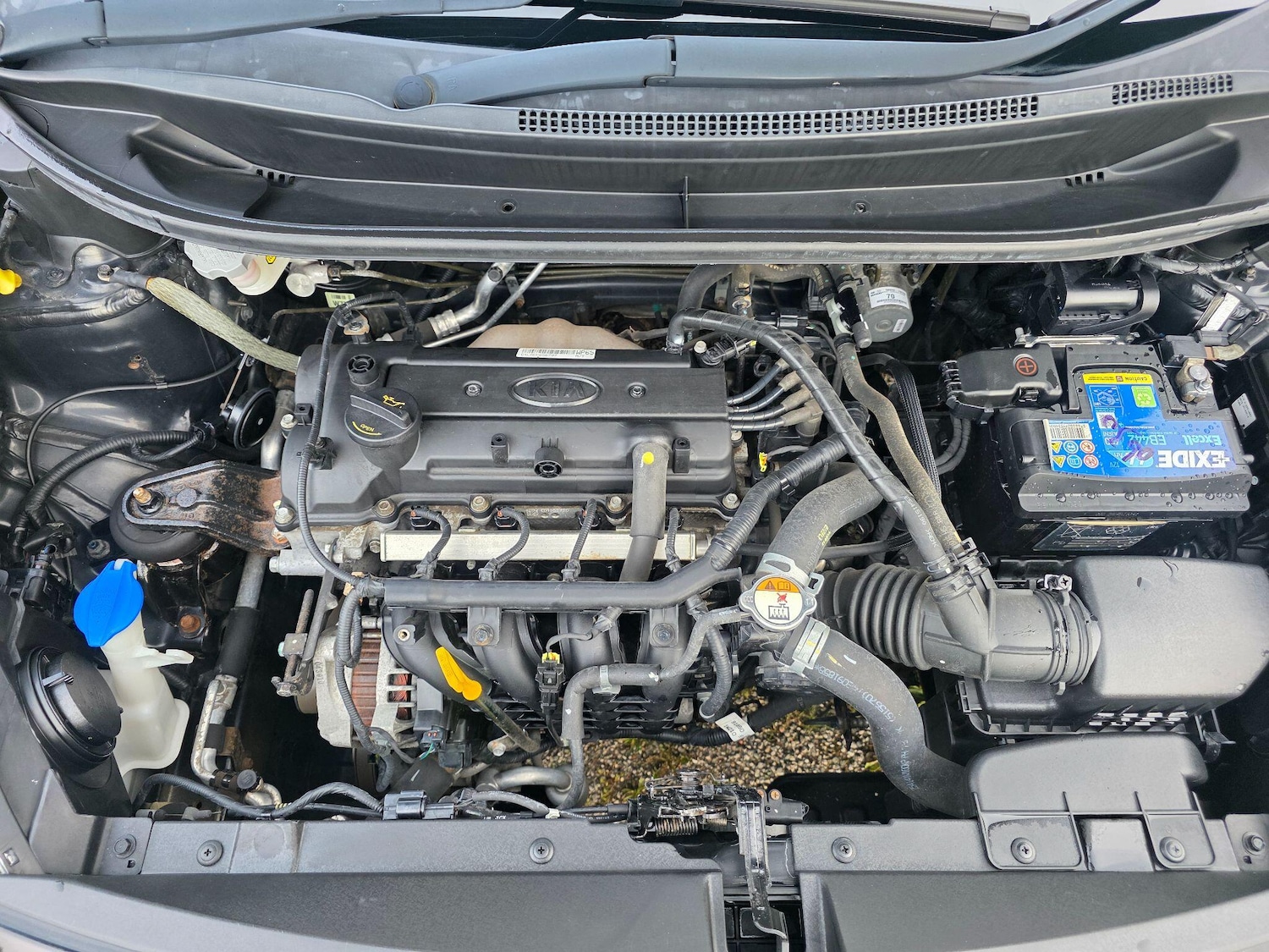 Used Kia Rio 2014 for sale - 76071648: Photo 32