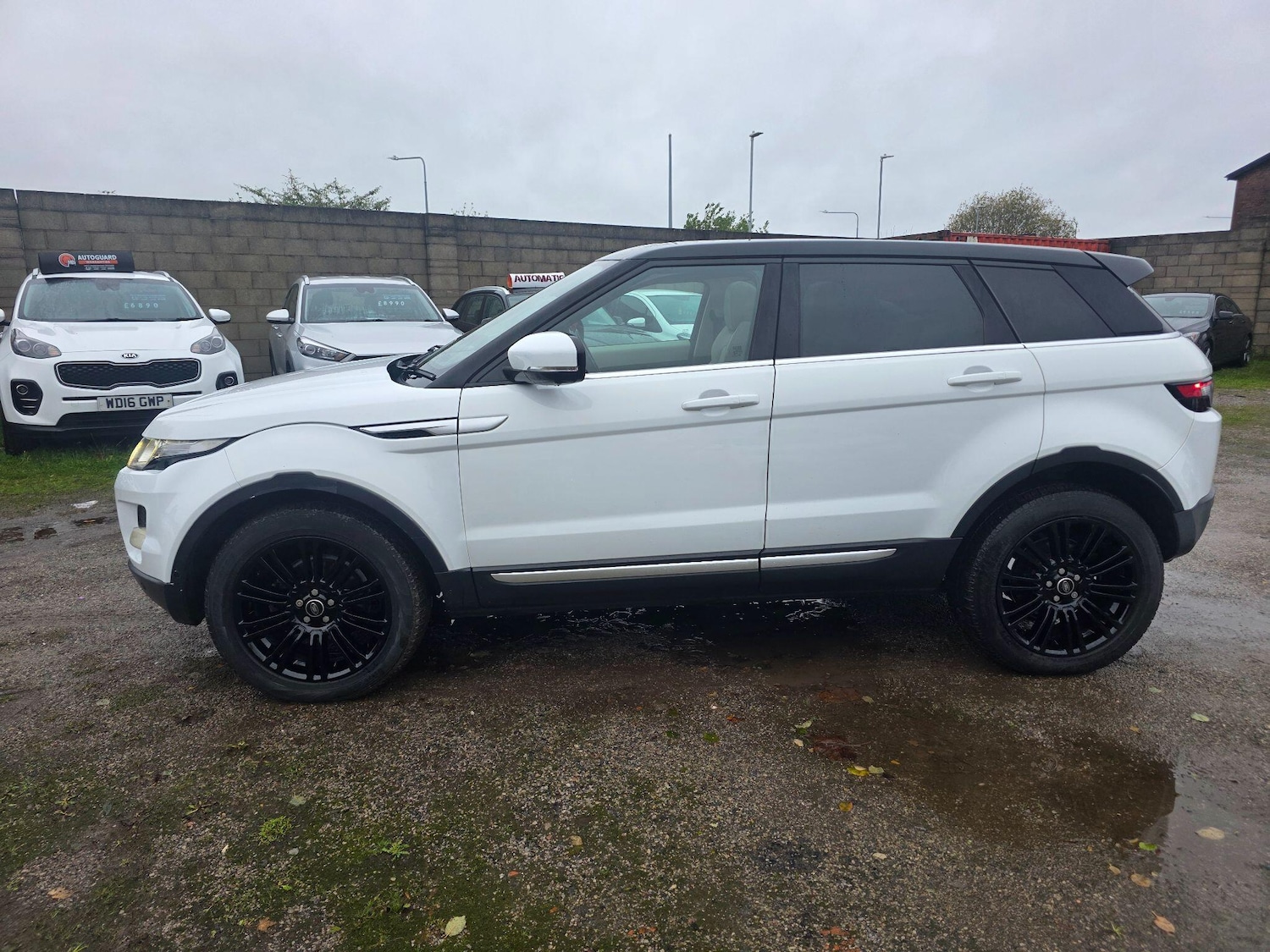 Used Land Rover Range Rover Evoque 2013 for sale - 76666988: Photo 8